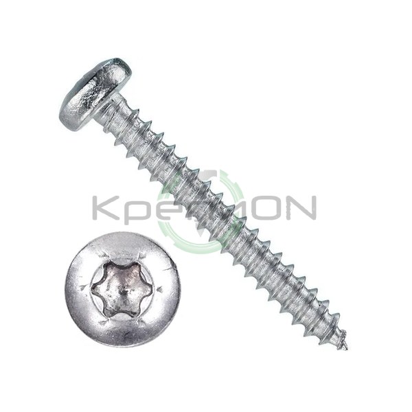 Саморез с полукруглой головкой и шлицем TORX ISO 14585 3.5х13 гальв. цинк — фото